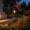 Jardinagem e paisagismo – Decoração de jardim