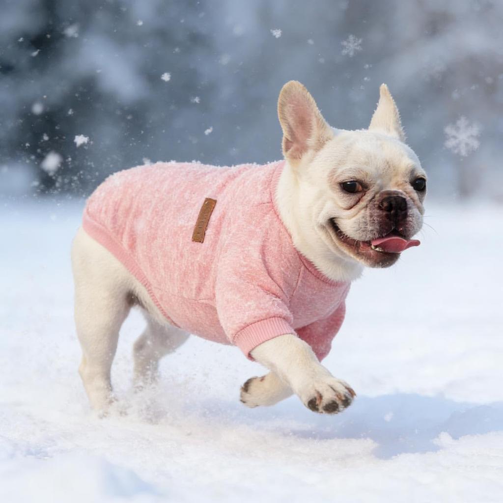 Zimowy Sweter dla Psa Małego i Średniego Rozmiaru Dzianinowy Zwierzę Domowe Kot Pies Zimowy Rozmiar Psów, Ubrania Jesienno-Zimowe, Ubrania, Do Noszenia, Koszulka, Ubrania, Stylowy, Uroczy,