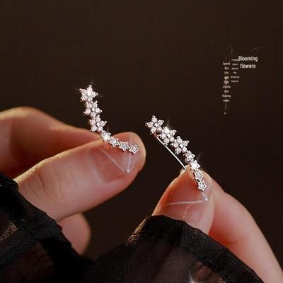 2024 Korean High-End Niche Star Earrings: Elegant, Versatile, Sweet & Cute Style