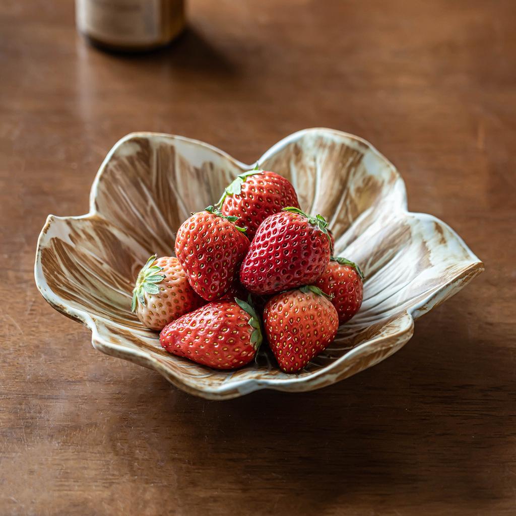 Vaso da Fiori in Terracotta Grossolana Ciotola per Frutta in Ceramica per la Casa Stoviglie Retrò Insalatiera Ciotola per Verdure Ciotola per Composizioni Commerciali Piatto per Frutta