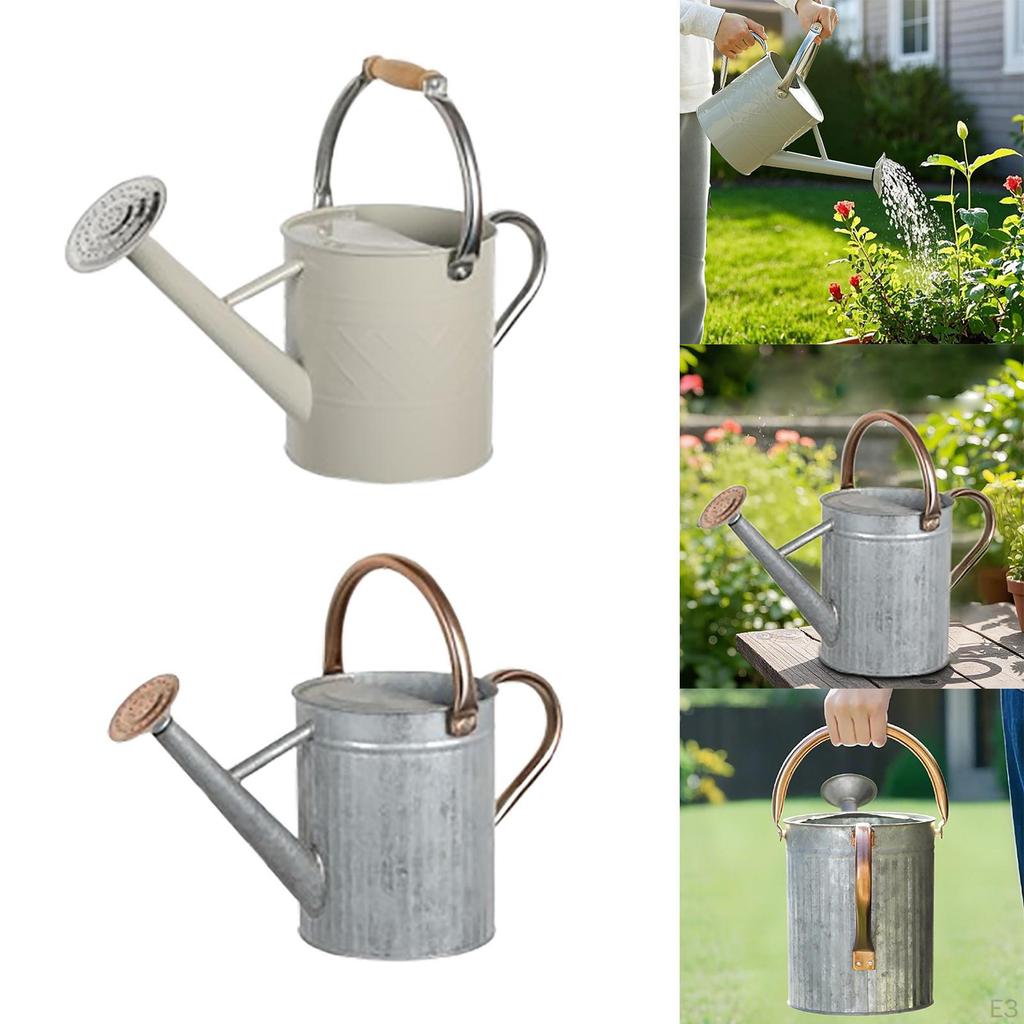 Indoor Plant Watering Can with Large Opening and Detachable Spout, Design
