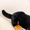 Boneca Salsicha Preta Sentada 26cm/36cm Animal de Pelúcia Dachshund Almofada de Abraçar Enfeite de Casa Presentes de Aniversário