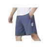 PUMA Logo Print Casual Shorts Men Bottoms Blue 677521-56