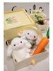 Pastoral Little Rabbit Comfort Doll - Stuffed Toy & Pendant