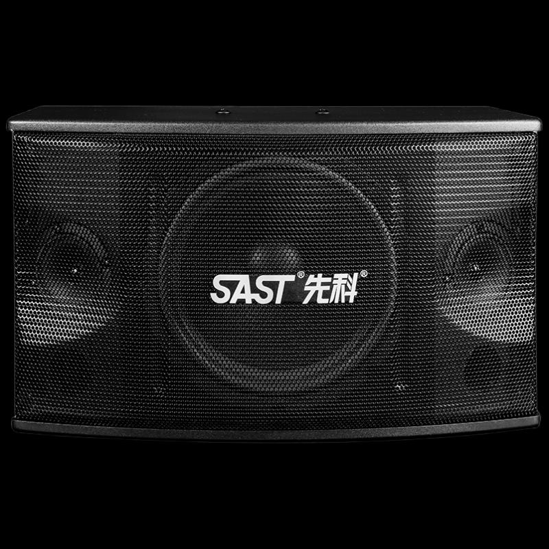 SAST Professional KTV & Conference Passive Speakers
