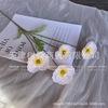 Artificial Poppy like Flowers Core Content 4 Headed Corn Poppy Decorations for Weddings Homes Photography Props Lifelike Design