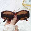 European American Style Sun Glasses Woman Cat Eye Shape Anti-reflective Woman Sunglasses Holiday Travelling Sun Glass
