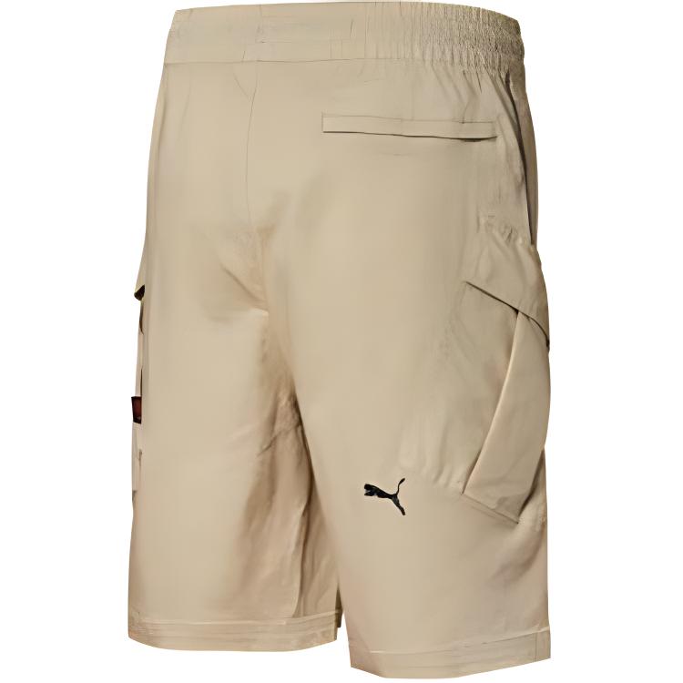 Puma Collaborative Edition Shorts Men Bottoms Grey Khaki 598196-50