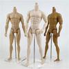 30cm Male Sketch Doll's Movable Kun Body for 1/6 FR Doll With Normal Skin Doll Toys Anime Figure Accessories Draw Mannequin