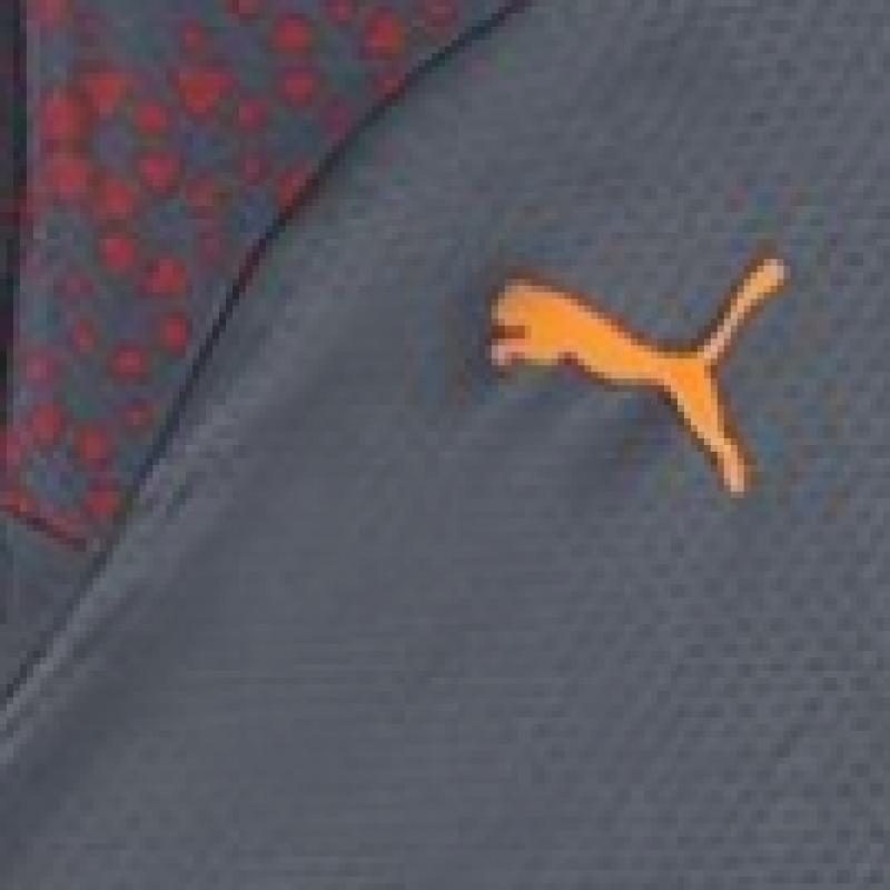 Puma Tricou cu mânecă lungă Manchester City Training 1/4 Fermoar Man City