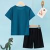 2-Piece Children's Summer Quick Drying Sports Suit for Boys and Girls, Handsome Dinosaur Print Short-Sleeved Top