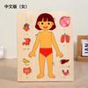 Children's Early Education Characters Body Organ Structure Cognitive Puzzle Brain Multi-Layer Development Wooden Toys