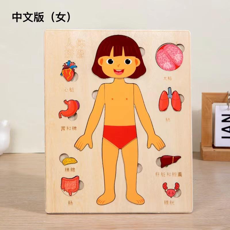 Children's Early Education Characters Body Organ Structure Cognitive Puzzle Brain Multi-Layer Development Wooden Toys