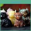 Animal Resin Craft Figurine With Natural Water Crystal For Office Decor And Feng Shui Gifts