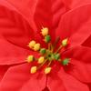 20PCS Plastic Simulation Christmas Flower Wedding Artificial Flowers Valentine's Day Decoration