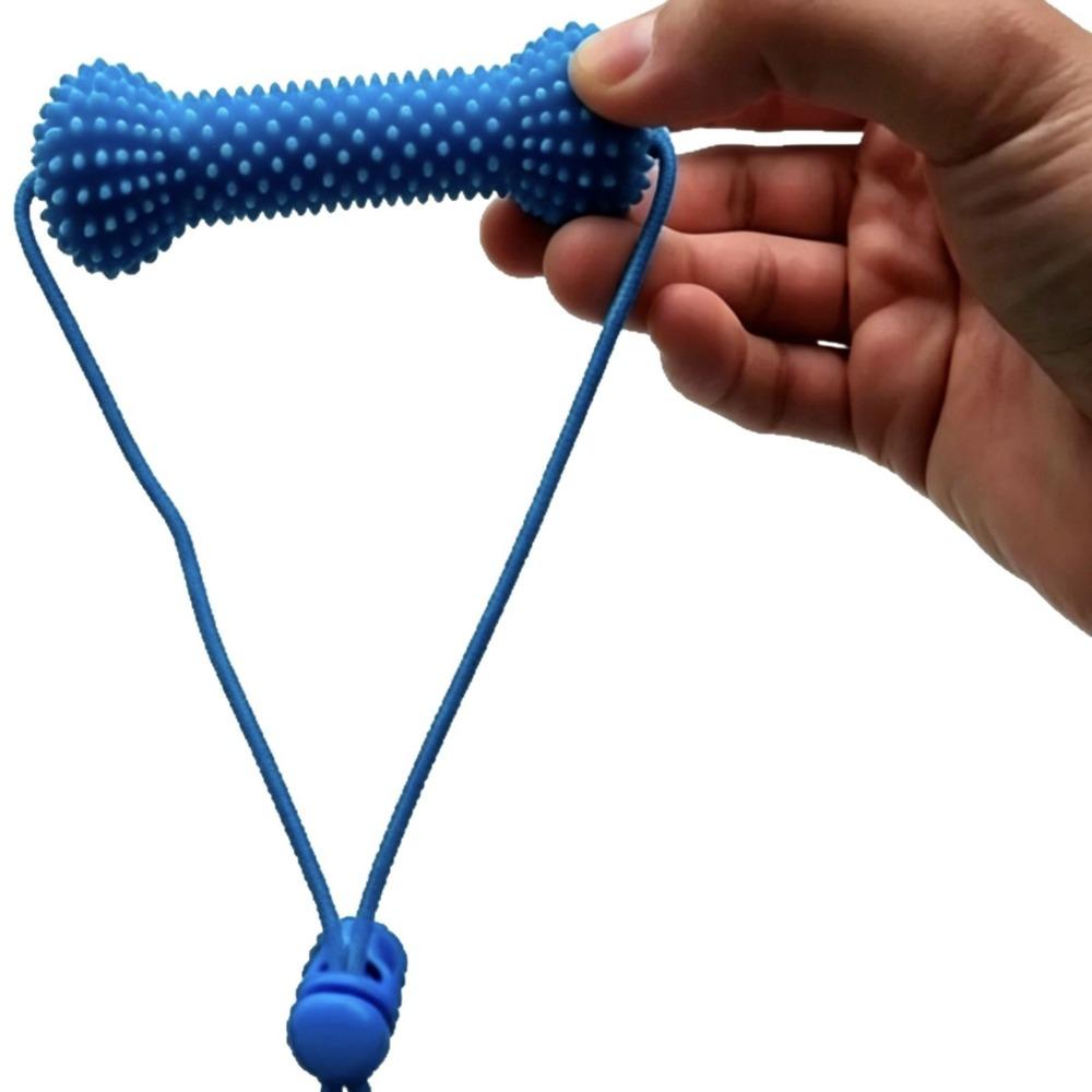 Quick Brushing Dual-Action Canine Dental Prop Blue Dog Toothbrushing Toy  for Medium Small Dogs