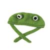 Frog Knitted Wool Hat for Women In Autumn and Winter Versatile Cute Korean Style Headdress Winter Headgear Cuckold Trendy Ear Cup