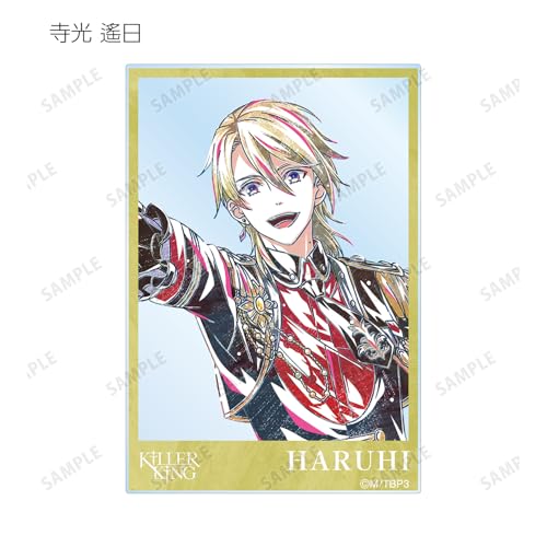 B PROJECT ~Hot Love Call~ Trading Ani Art 2nd Edition Acrylic Cards Box of 16