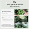 Cactus & Bonsai Organic Root & Flower Fertilizer - Slow-Release Nutrient Soil Enhancer