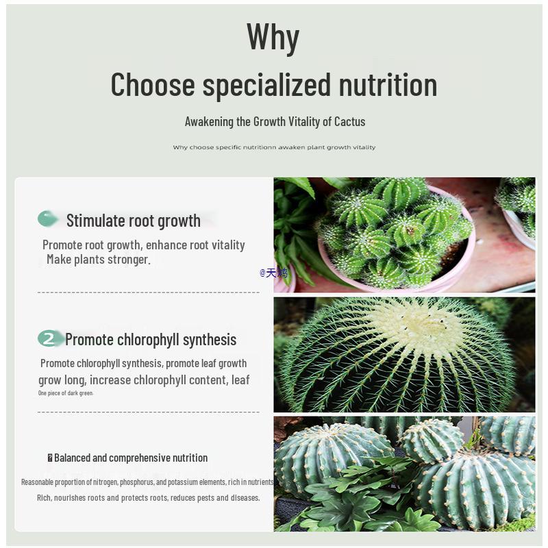Cactus & Bonsai Organic Root & Flower Fertilizer - Slow-Release Nutrient Soil Enhancer