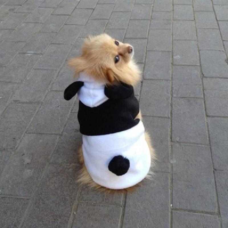 Cozy Panda Transformation Pet Clothing For Dogs And Cats In White