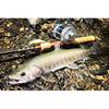 TIEMCO Fenwick FS53CL-3J, 5.3ft (162cm) long