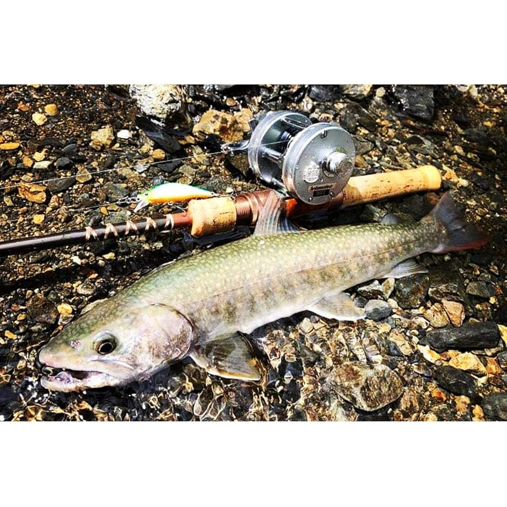 TIEMCO Fenwick FS53CL-3J, 5.3ft (162cm) long