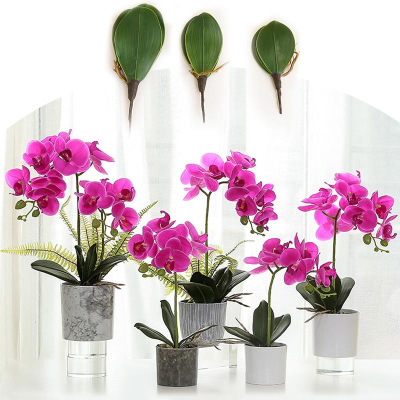 Simulation Phalaenopsis Leaves 1pc Auxiliary Touch Decorative Plants Flowers Artificial DIY Real Flower Leaf Material Spring