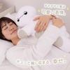 MORIPiLO Baymax Hugging Pillow Disney Sleepytime Pillow 45cm Microfiber Fabric Goods Plush Toy Large White Disney Pillow by Morishita (M) Approx.