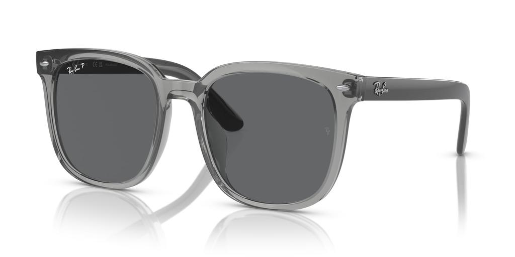 Sunglasses 0RB4401D TRANSPARENT GRAY 55 [Ray-Ban]