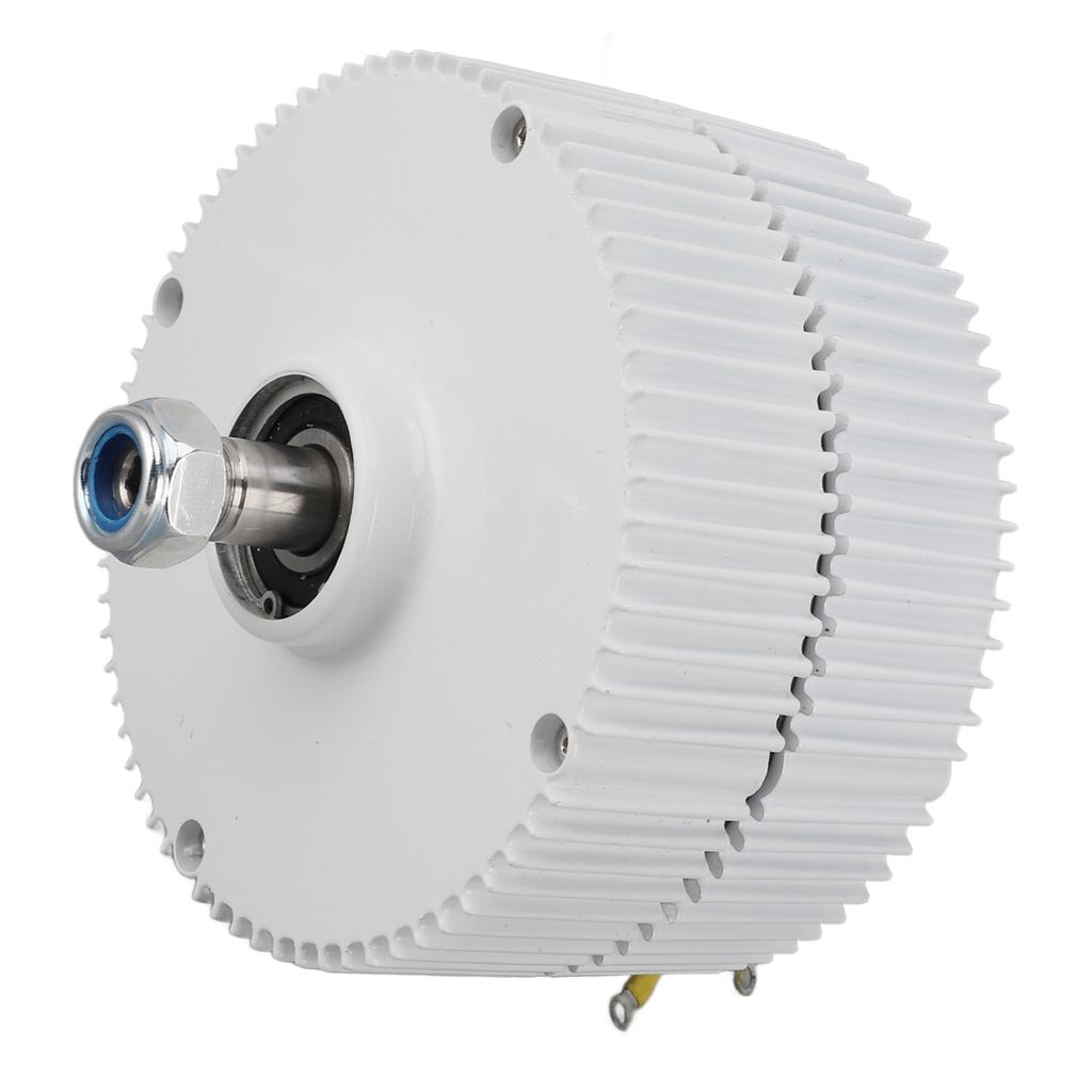 Motor sincron cu magnet permanent Dual Shaft 3 Fazat AC Alternator 12V pentru vertical sau orizontal