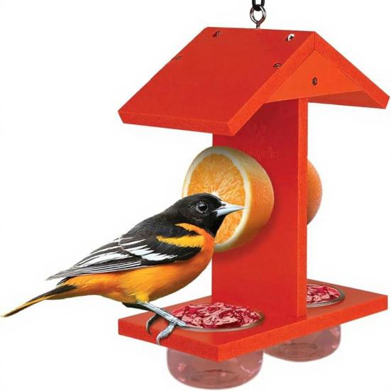 Yousheng Hanging Oriole Feeder, Outdoor Bird Feeder with Fruit Holder, Two-Cup Birdfeeder, Jelly And Fruit Feeder for Orioles Mockingbirds Backyard