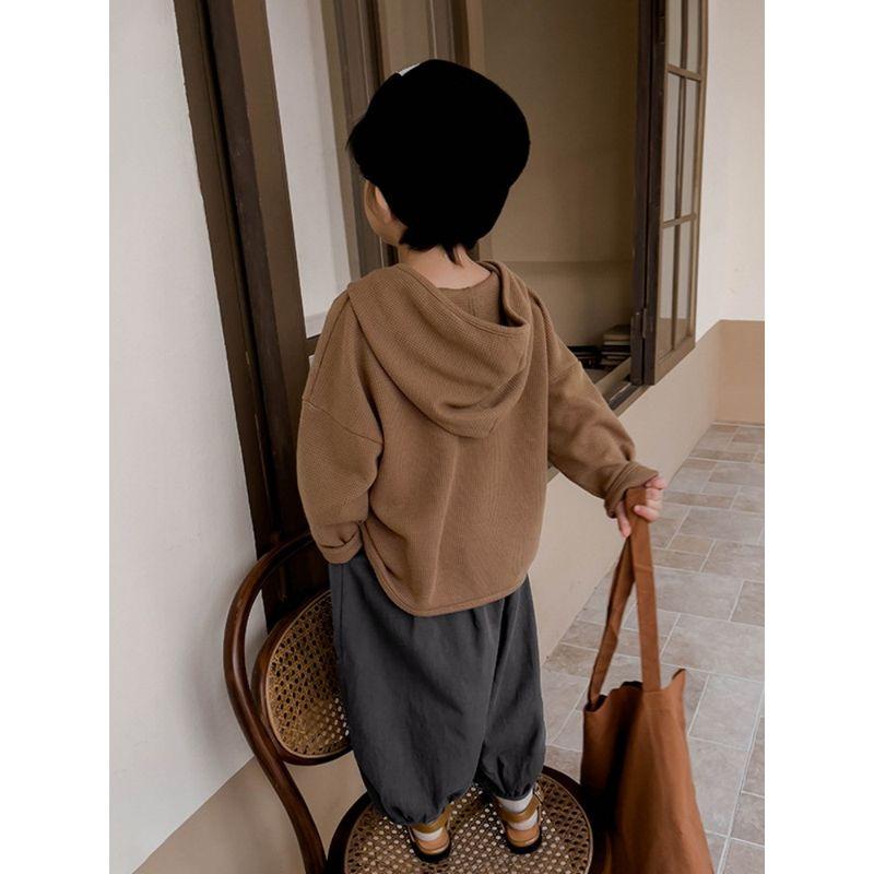 Children's Clothing Boys' Solid Hoodie Pullover Autumn Children's Korean Series Hood Top Children's Spring and Autumn Long sleeve Top