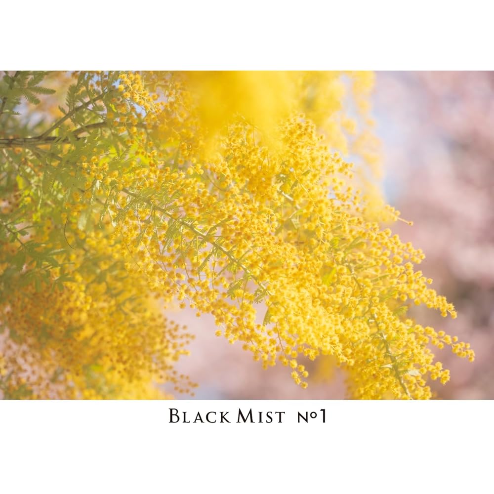 [Amazon.co.jp Exclusive] Kenko Mist Filter Black Mist No.1 N 82mm - Soft Diffusion Effect - Powerfully softens light, creating a cinematic effect - Sl