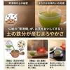 Tokoname Yaki Japanese Teapot with Stainless Strainer 300ml - Easy To Clean, Drip-Free Design
