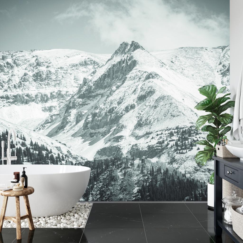 Photomural Winter In The Mountains Non-Woven 300x210