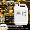 Aroma Essential Oil Diffuser: Commercial Fragrance Machine with 5L Refill for Hotels and Clubs
