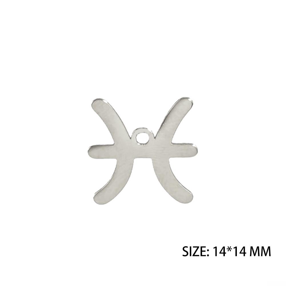 12pcs/lot Stainless Steel Zodiac Charms Horoscope Astrological Sign DIY Pendant for Necklace Bracelet Jewelry Making