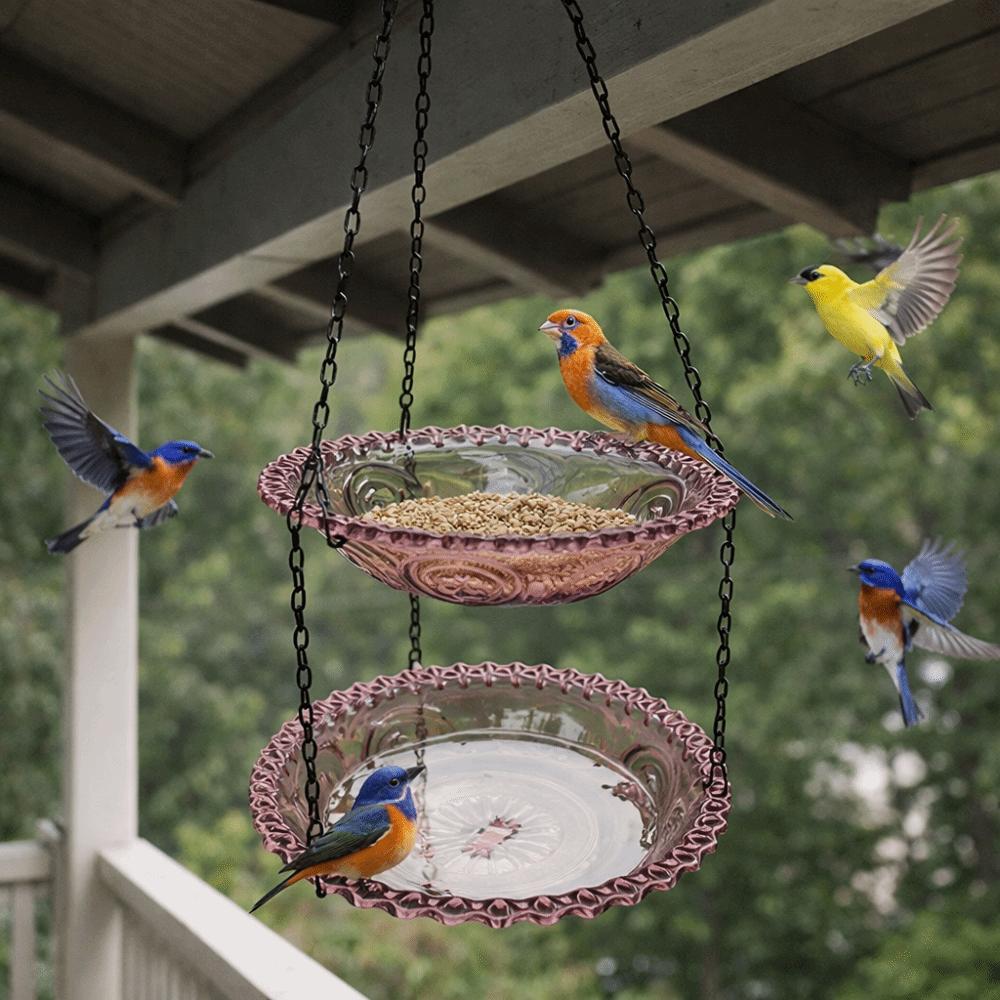 Transparent Hanging Bird Feeder Double Plates Hummingbird Feeder Bird Bathtub  Farm