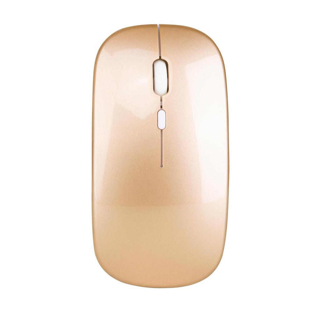 Wireless Rechargeable Mouse for Laptop Computer PC Slim Mini Noiseless Cordless Mouse 2.4G Mice for Home/Office
