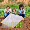 Foldable Plant Protective Covers Tents PVC Mesh Garden Bed Cages Animal Barrier Suitable for Vegetables Fruits Seedlings