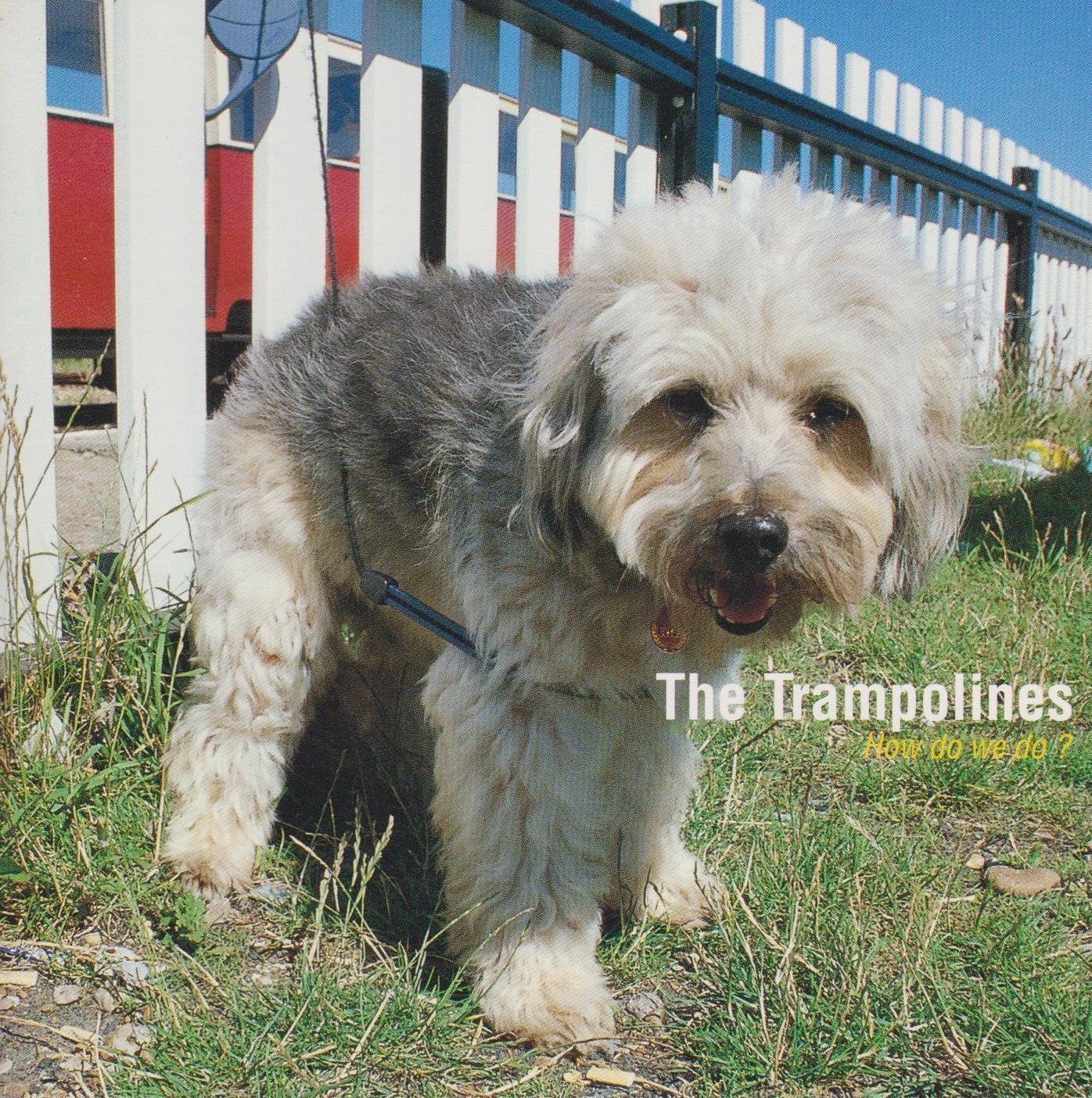 

CD TRAMPOLINES - How do we do V2CI60PROMO Japan Obi Rock Used