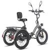 Electric Freight Bike Fafrees F20 Mate 750W Peak Motor 20" Fat Tire 48V 23.45AH Hydraulic Disc Brakes Max Load 180Kg LCD Display