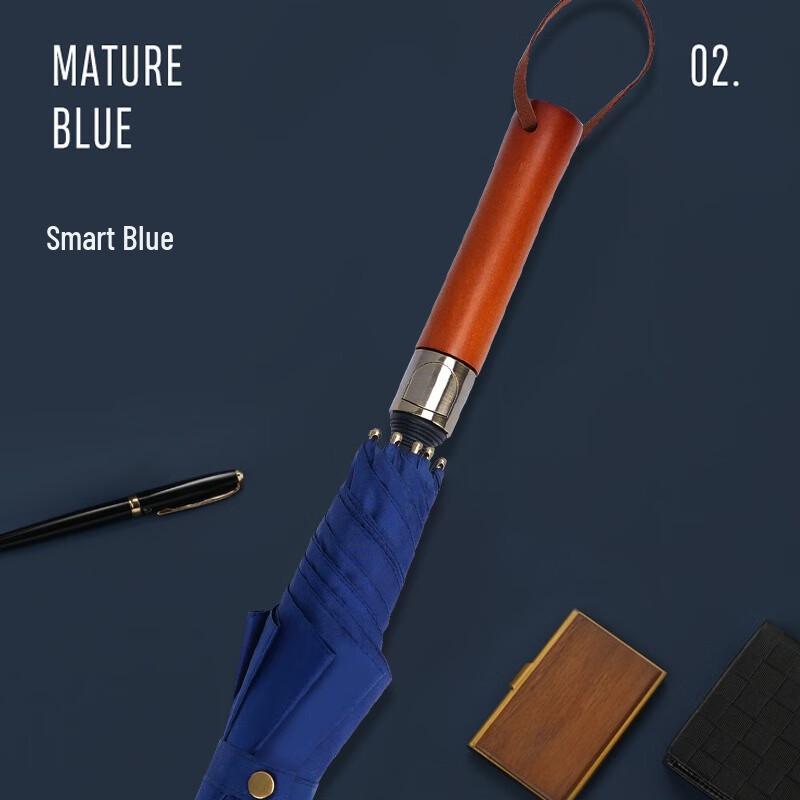 

Red Leaf Retro Business Straight Umbrella