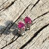 8.95 Ct Natural Pink Sapphire Oval Cut Earring 925 Sterling Silver