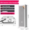 LINGSHENG Outdoor Smart Infrared Sensor Voice Speaker (CN Version)