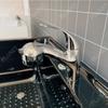 Large Dog Grooming Spa Tub Large Size Freestanding Acrylic Pet Bathtub