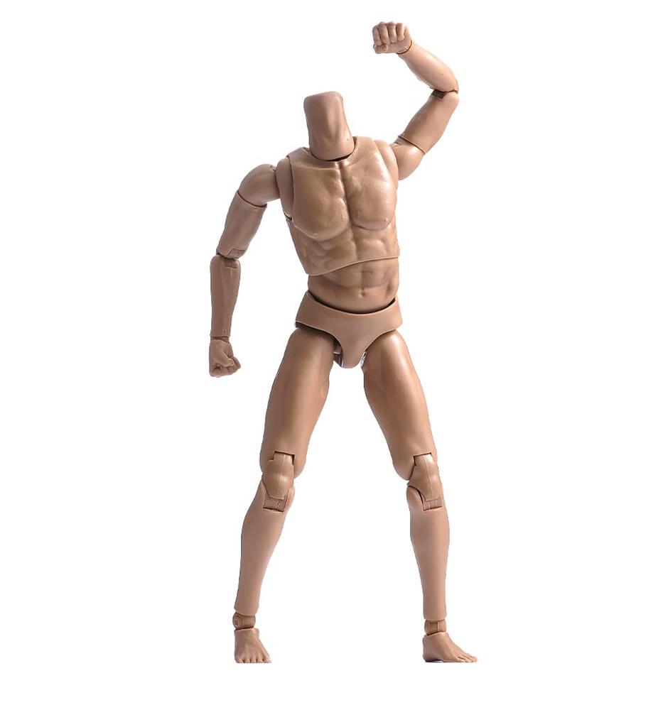 12-inch Male Soldier Body Model, Muscular Male Body Model, Fits 1/6 Head Sculpt, Action Figure Body