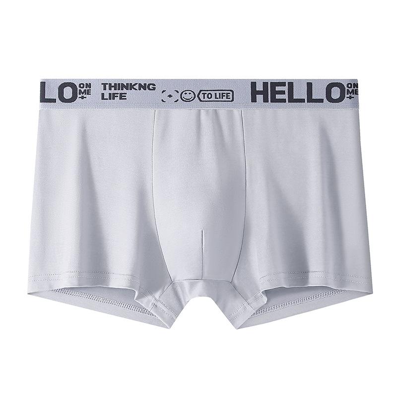 Large Size Men Spring Summer New Youth Middle Waist Flat Angle Underwear