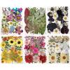 25PCS Dried Flowers Set for DIY Resin Pendant Making Filling Pressed Real Natural Flowers Leaves for Bookmark Phose Case Making